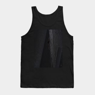 Black spider in its web Tank Top